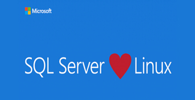 微(wēi)軟計(jì)劃推Linux數據庫 徹底颠覆前任CEO哲理(lǐ)